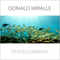 Don Miralle